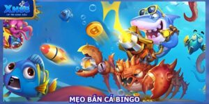 meo-ban-ca-bingo